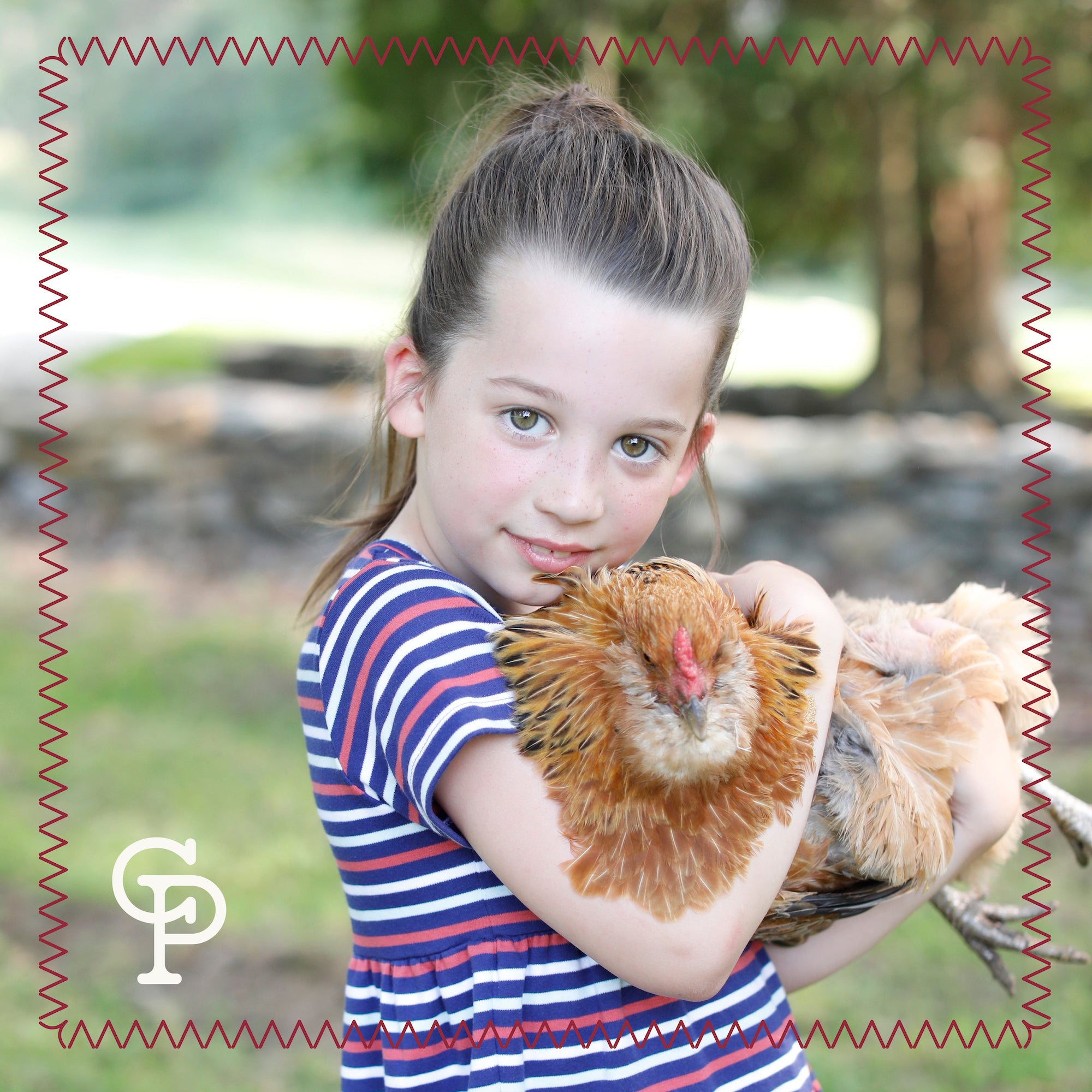 adorable image of a young girl wearing a soft and cozy striped shirt dress holding chicken to the camera